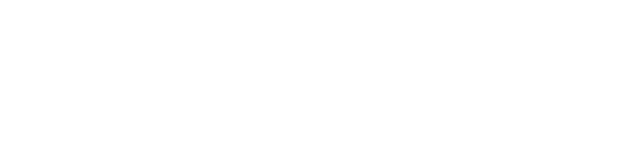 Pro Logo